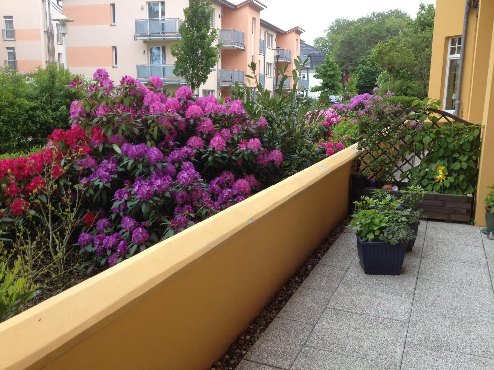 Sonnenresidenz Kuehlungsborn Apartment Bagian luar foto